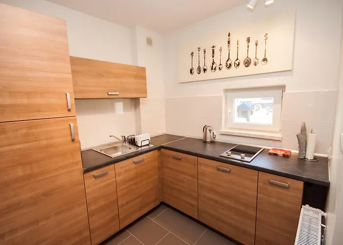 Apartment Przy Swierku *